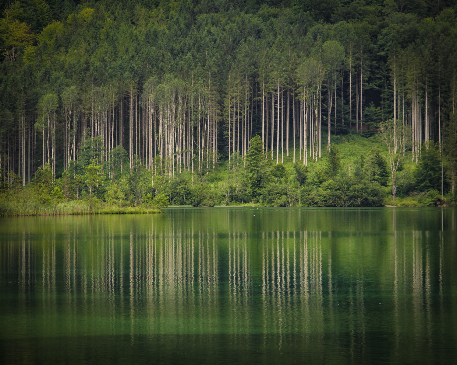 Stillness