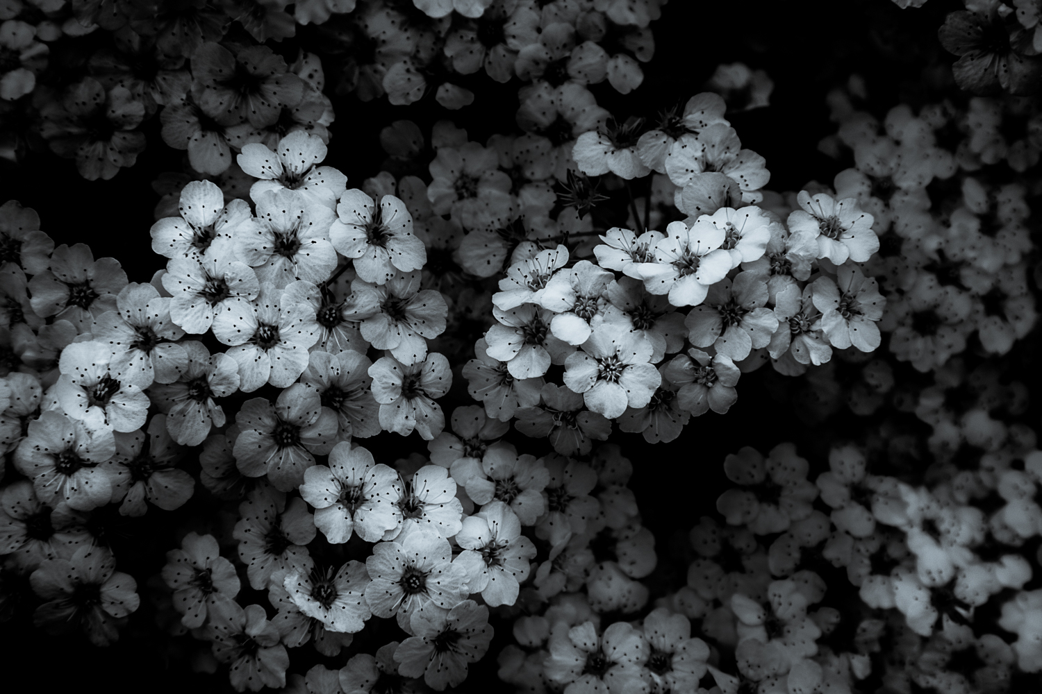 Lights in the Dark